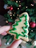 biscotti di natale